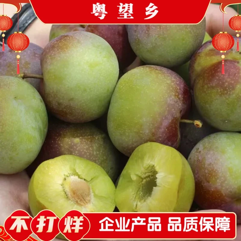 粤望乡四川眉山半边红茵红李精选品质脆甜多汁脱骨李包邮新鲜包赔