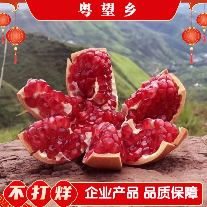 大凉山会理产地直发突尼斯品质软籽石榴大果现摘包邮