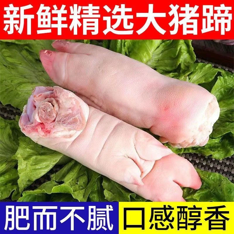 新鲜猪蹄子散养现杀整只带筋蹄子猪脚农家猪手前蹄后蹄整箱红烧