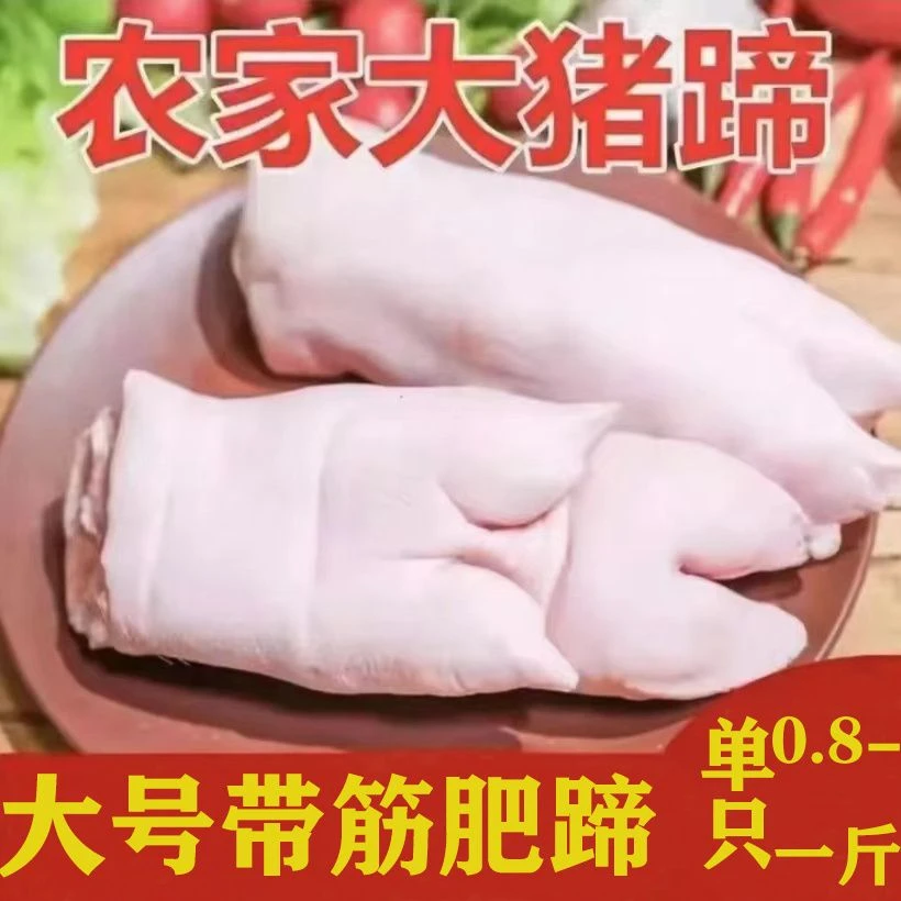 超大猪蹄带筋猪蹄子农家生猪脚前后猪手猪爪家用猪蹄猪手整只批发