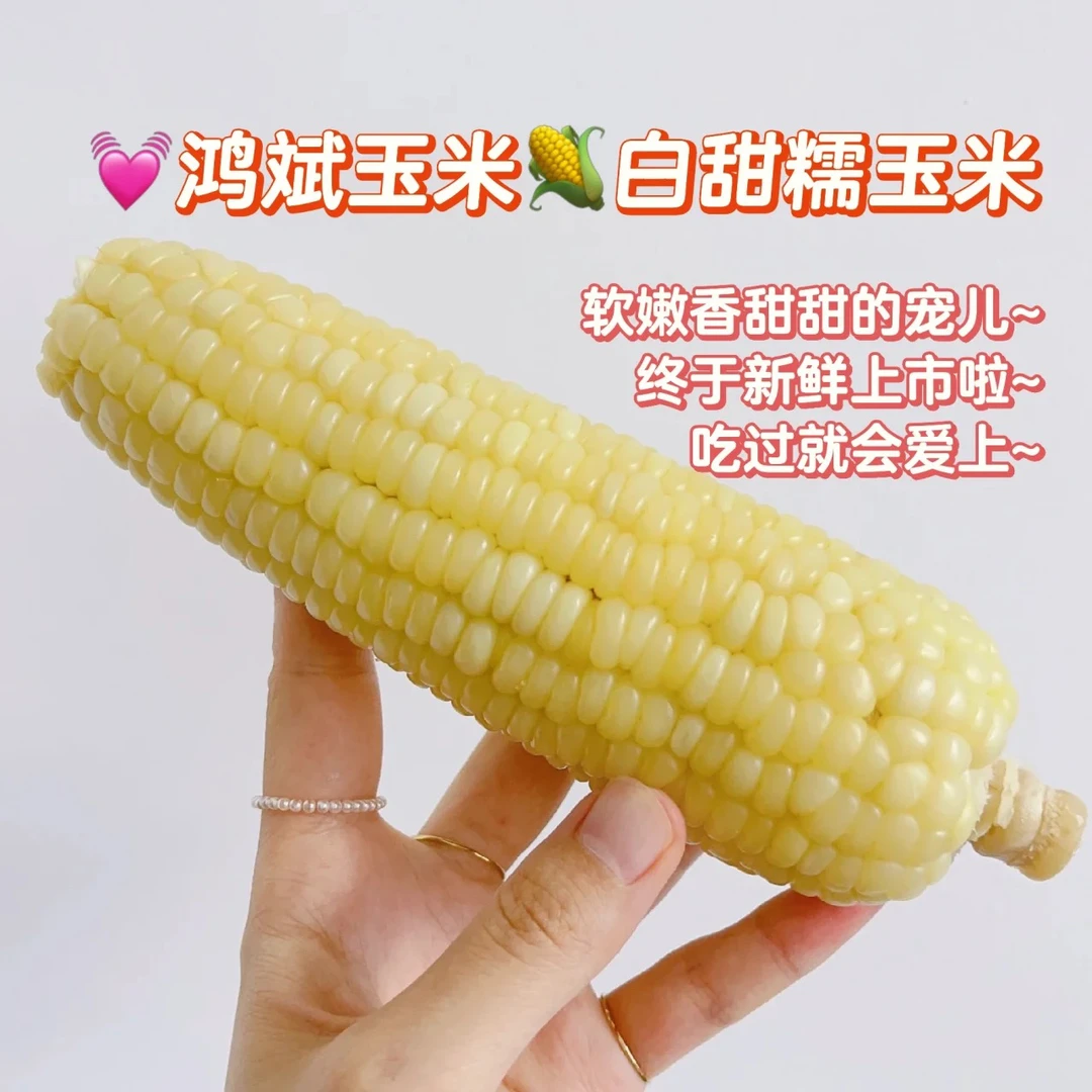 【速冻】鸿斌白甜糯带皮发货甜糯玉米软生态早餐代餐4斤装顺丰包邮