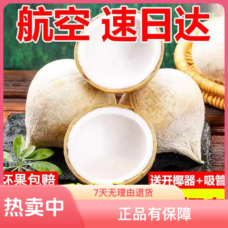 海南牛奶椰皇进口奶香小香椰去皮煲汤新鲜椰子泰国牛奶椰皇包邮