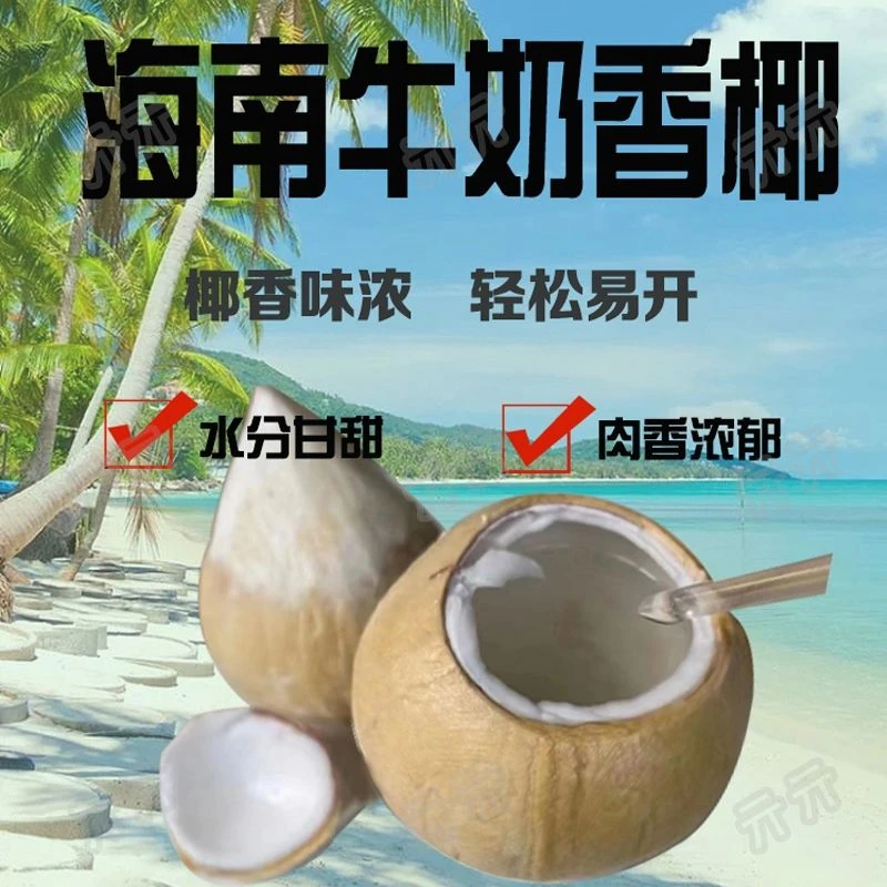 海南牛奶椰皇进口奶香小香椰去皮煲汤新鲜椰子泰国牛奶椰皇包邮