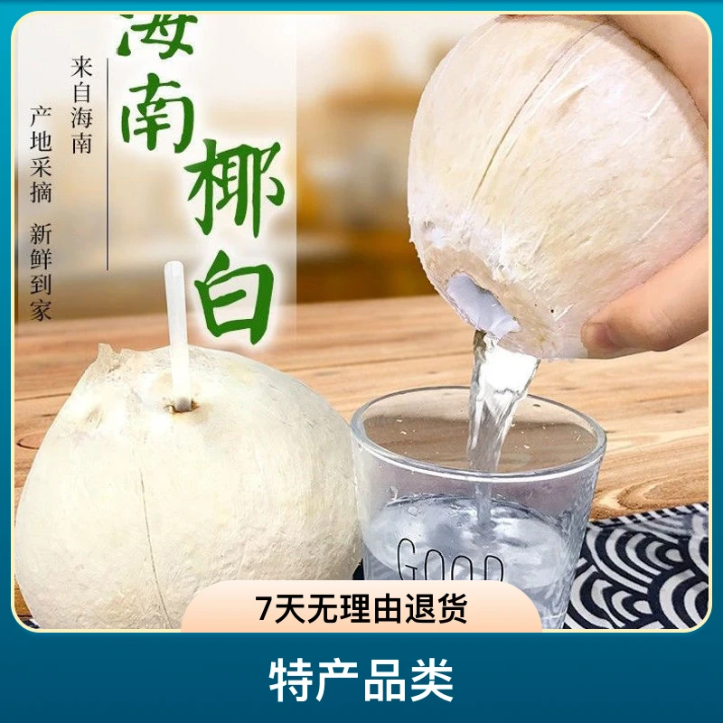 海南牛奶椰皇进口奶香小香椰去皮煲汤新鲜椰子泰国牛奶椰皇包邮