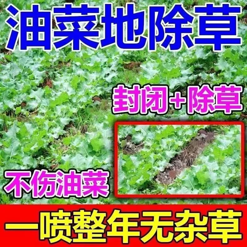 油菜苗后除草剂苗后专用除草剂禾阔双除不伤苗油菜专用除草剂