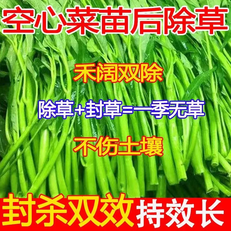 速效空心菜地除草剂空心菜苗后除草剂安全型持效长封地除草剂封闭