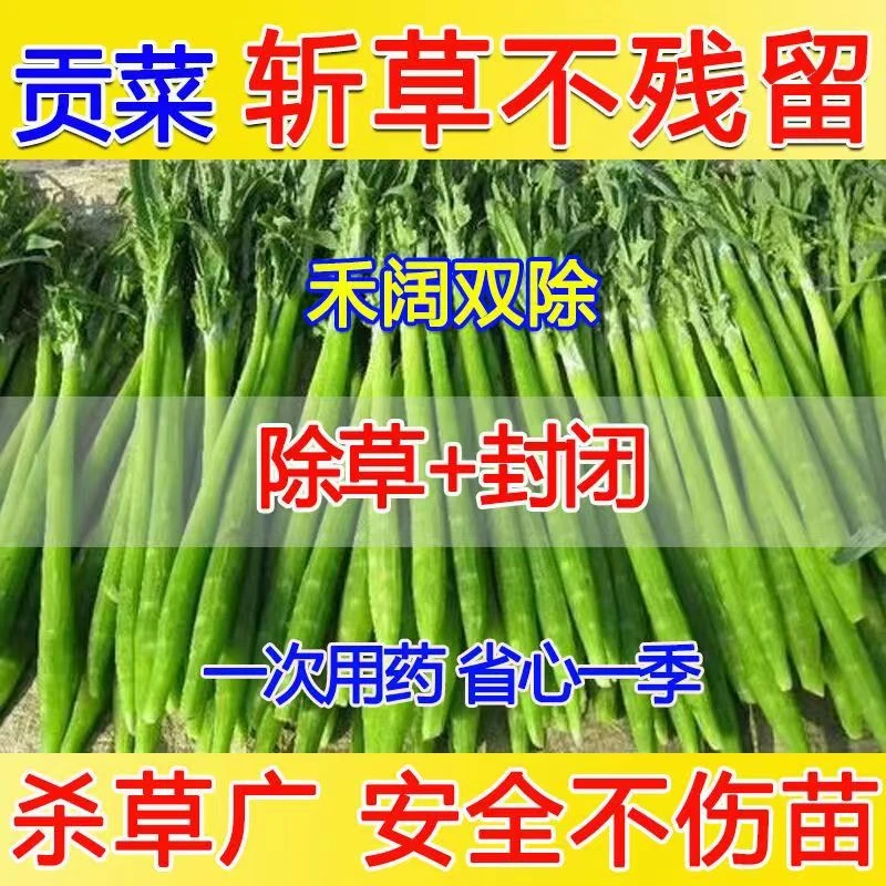 贡菜除草剂除草封闭型除草剂贡菜田除草剂苗后安全不伤苗封闭杂草
