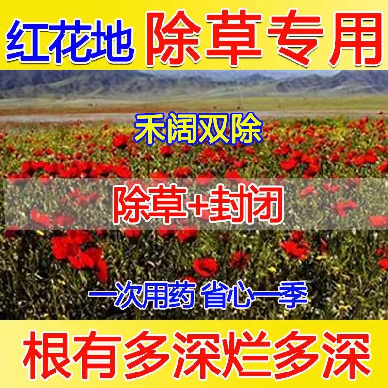 红花除草剂除草封闭型除草剂红花田除草剂苗后安全不伤苗封闭杂草