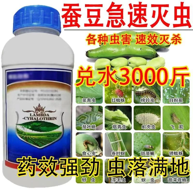 蚕豆专用药蚕豆病全杀蚕豆治病杀菌剂立枯病根腐病菌核病灰斑病霜