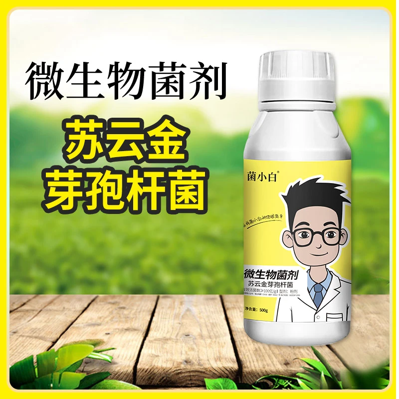 菌小白苏云金芽孢杆菌微生物菌剂菌肥