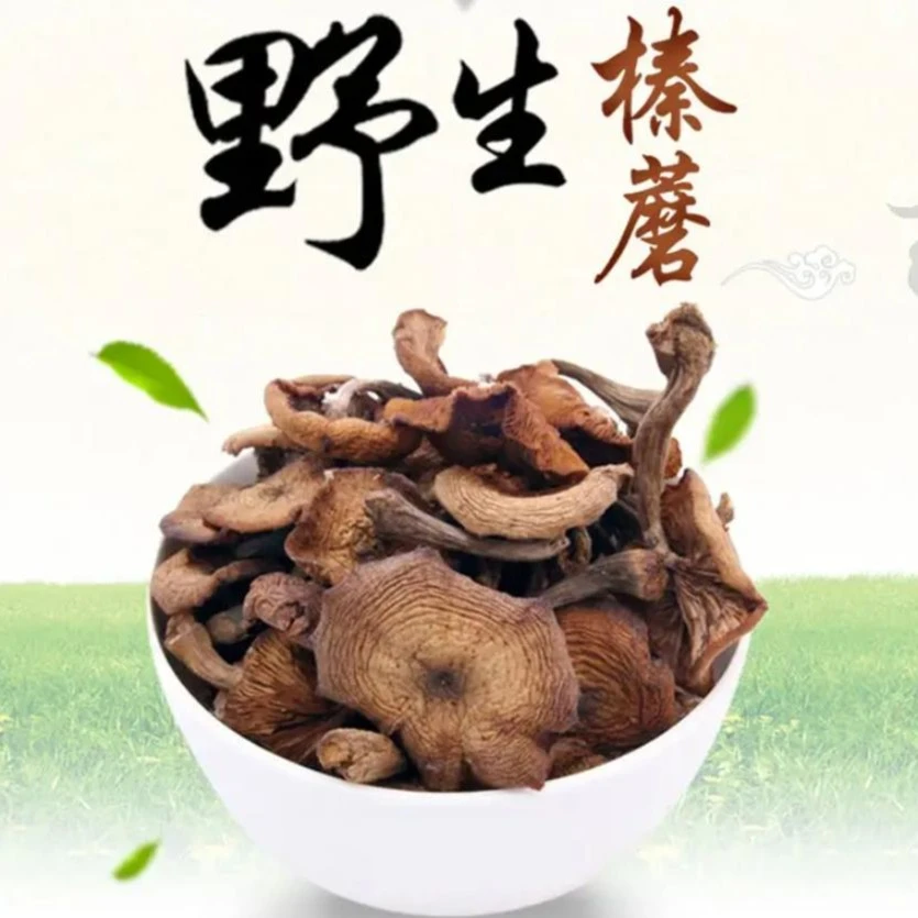 东北野生榛蘑半斤1斤