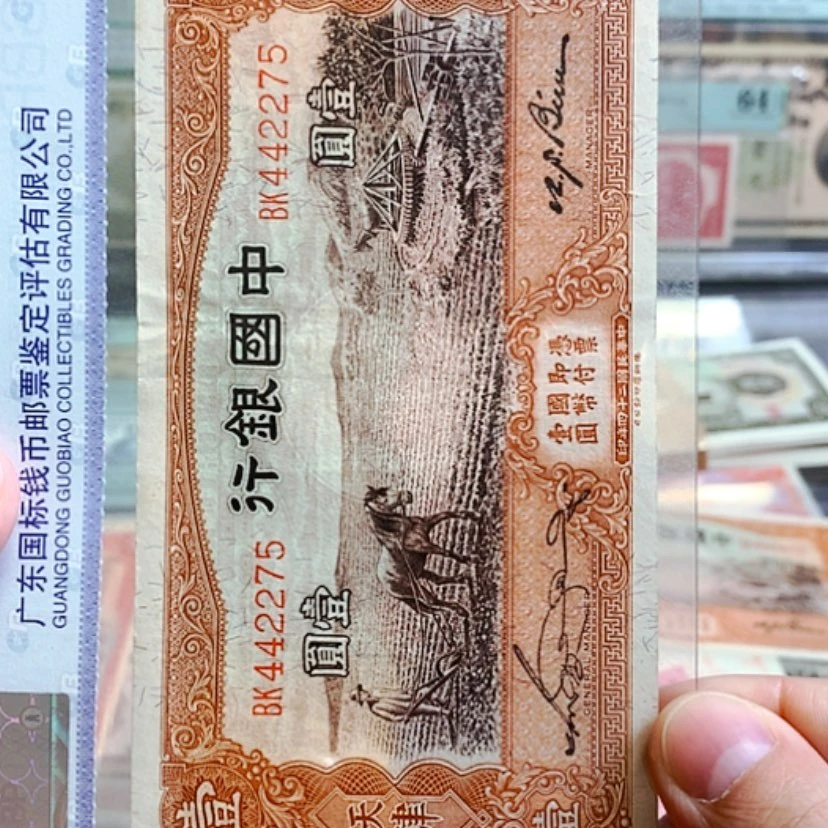 【闪购商品】纸海*崴上海75