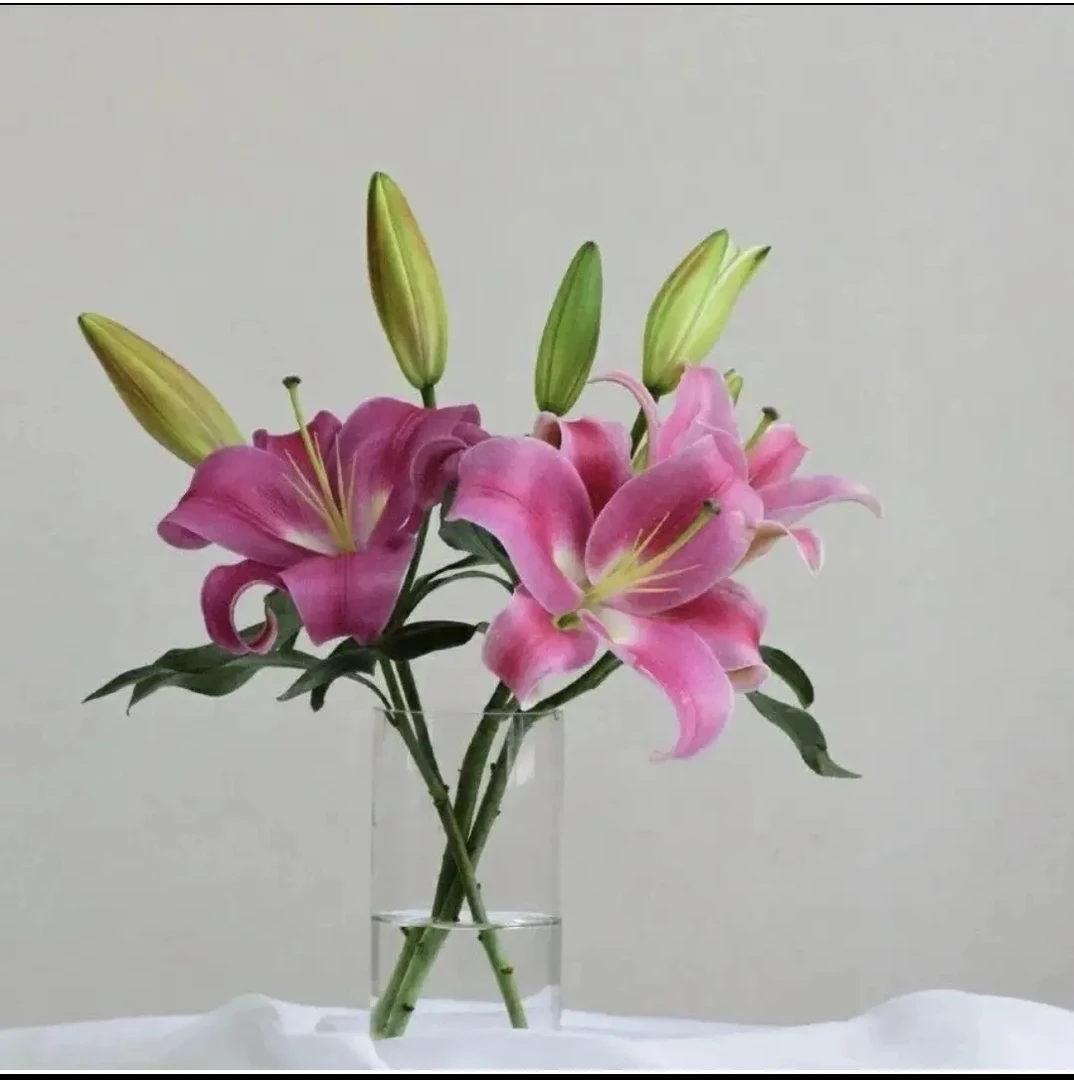 帕拉佐香水百合 昆明基地直发（一单中通）