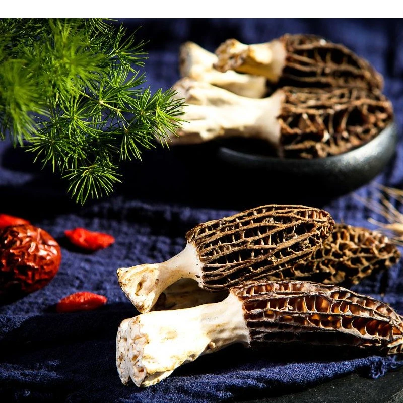 西藏森林里的羊肚菌 50g/罐 可煲汤/清炒/蒸蛋/涮火锅