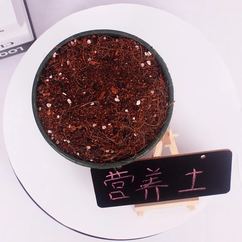 皋月杜鹃花专用土花卉造型老桩通用型营养土壤弱酸性培植土现配