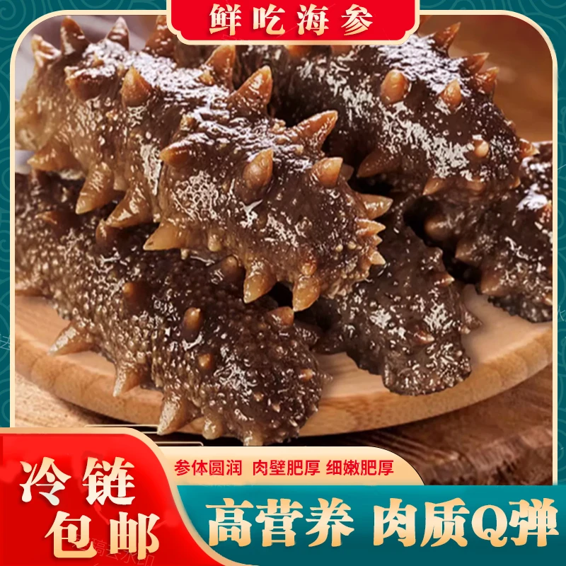 海福麟【破价专场】即食新鲜营养海参正宗深海辽刺参独立包装0添加