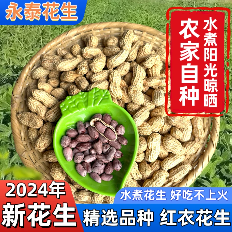 2024年永泰新花生红皮白晒盐水煮咸干花生500g袋装带壳熟零食特产