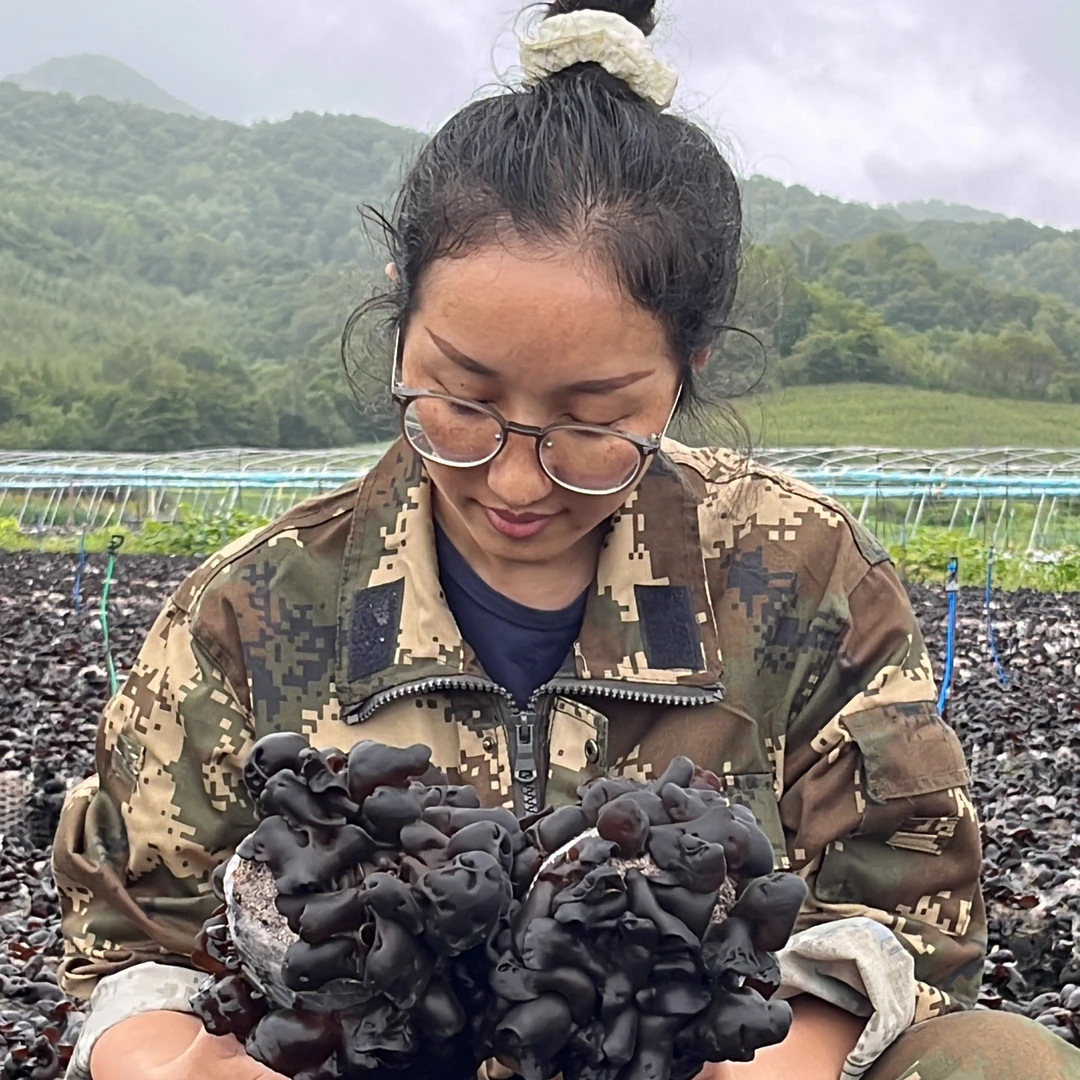 来自黑龙江林区 优质黑木耳 肉厚无根 好品质 泉水浇灌 自然晾晒