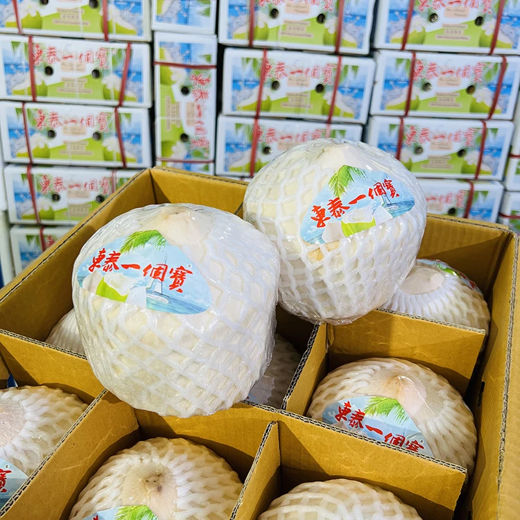 【乐鲜果园】泰国东泰一个宝香水椰青进口新鲜椰子原箱9个