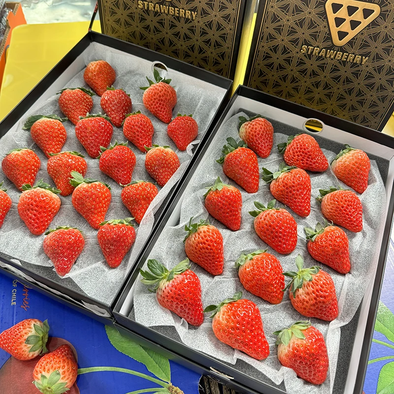 【乐鲜果园】真田丹东九九草莓香甜限定黑金礼盒500g