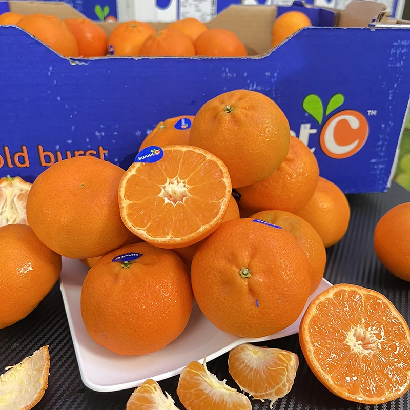 【乐鲜果园】南非Sweet蜜柑3斤/5斤当季新鲜柑橘 顺丰快递