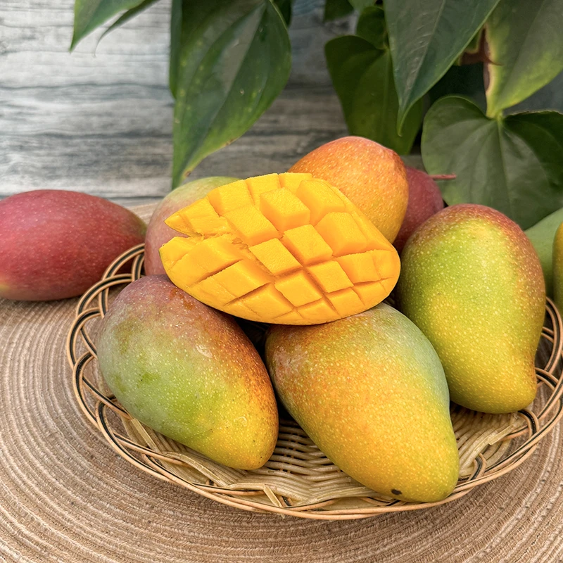 【乐鲜果园】海南贵妃芒树上熟当季新鲜芒果5斤装