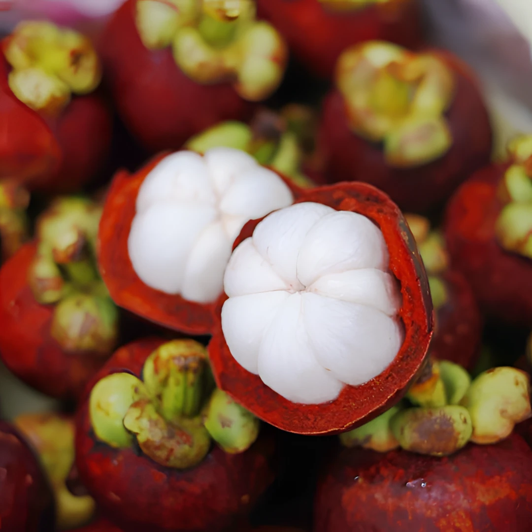 【乐鲜果园】泰国进口5A山竹4斤装起当季新鲜进口山竹