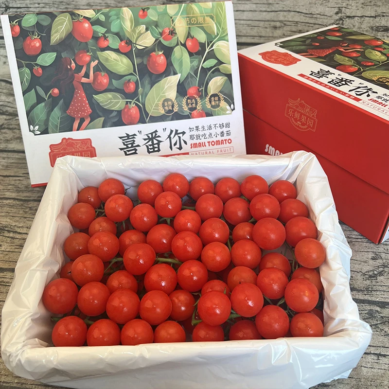 【乐鲜果园】精选串枝番茄2.4斤乐鲜礼盒新鲜当季小番茄 顺丰快递