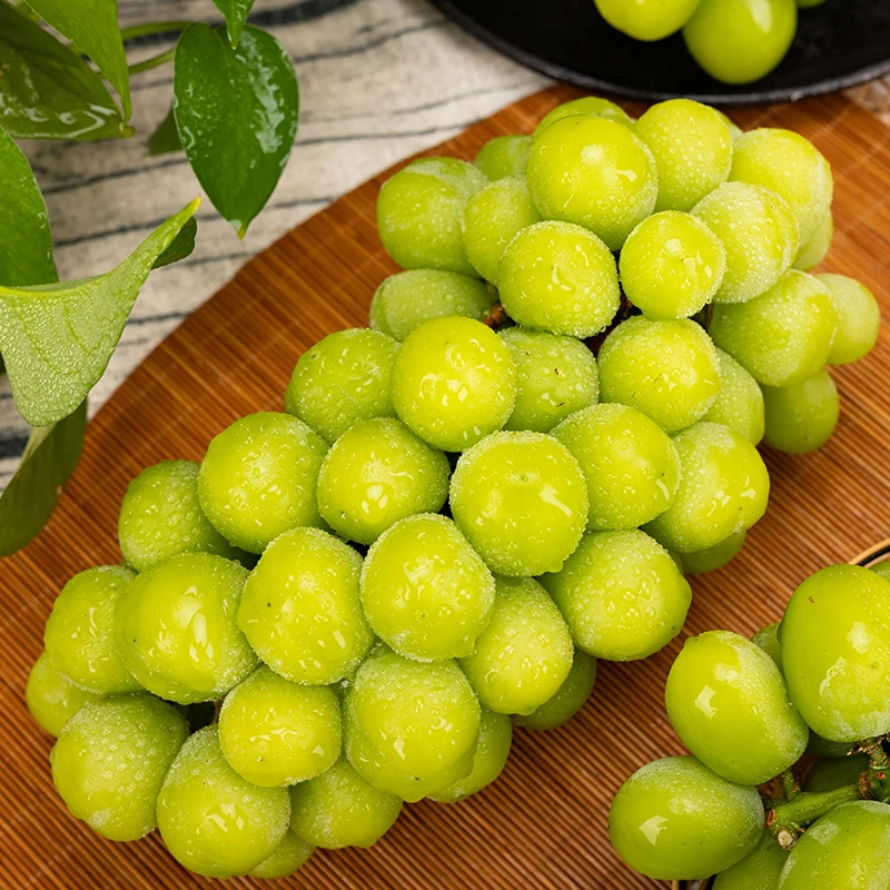【乐鲜果园】当季西域天香青提阳光玫瑰葡萄精选果2斤一串礼盒