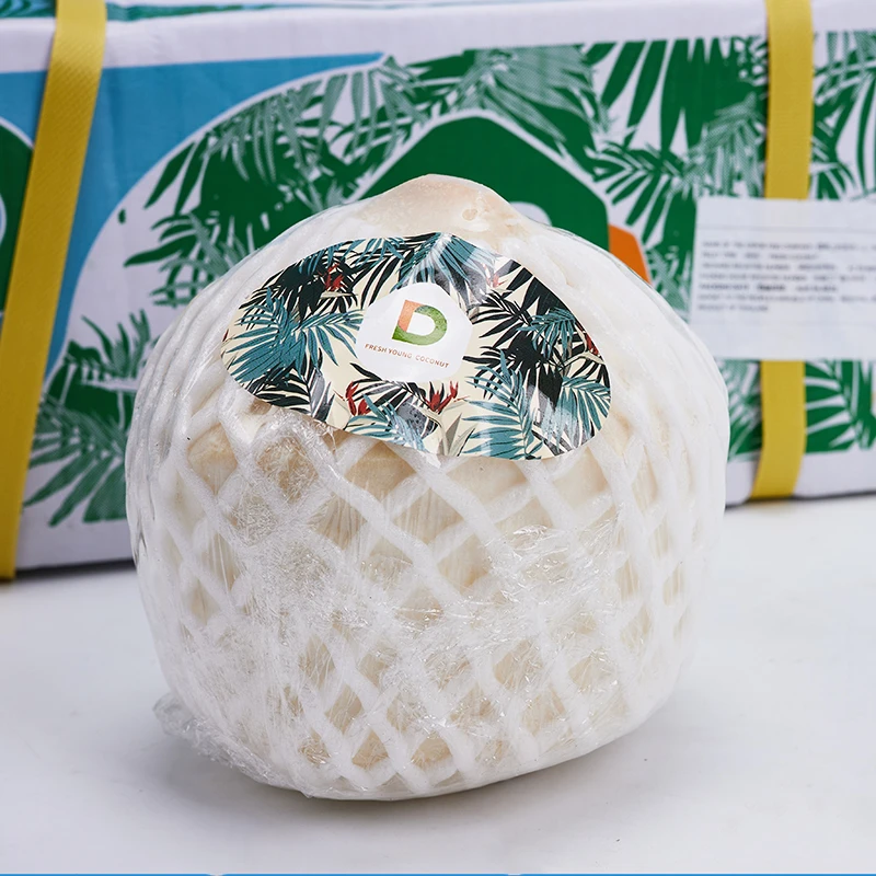 【乐鲜果园】泰国D牌香水椰青进口原箱9个装新鲜椰子水果 广东包邮