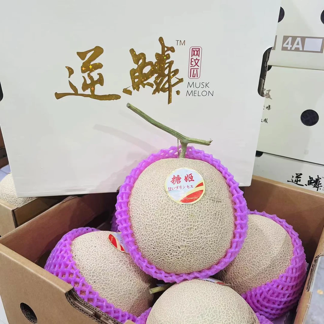 【乐鲜果园】逆鳞糖姬7号网纹蜜瓜软肉瓜1个3.2斤起 顺丰快递