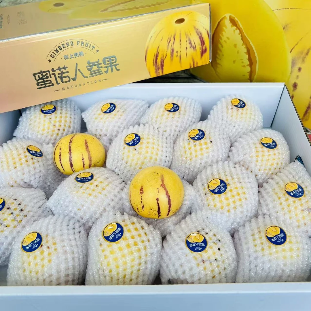 【乐鲜果园】蜜诺云南石林人参果圆果4.3斤礼盒清甜水分足