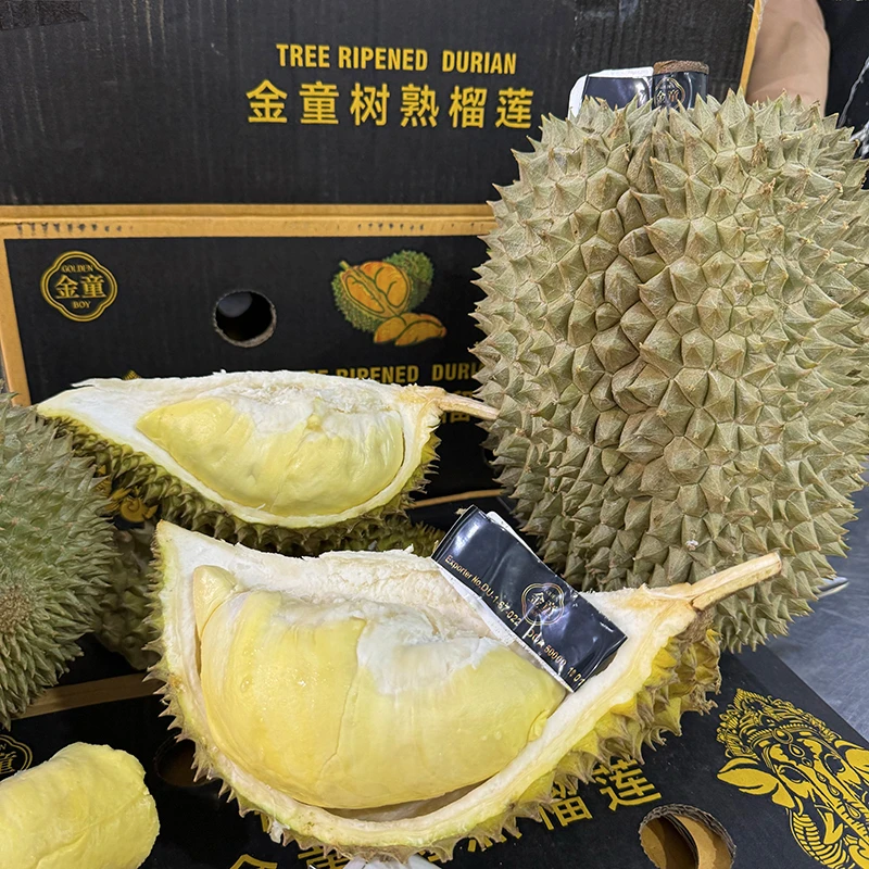 【A果】一果一拍 乐鲜果园泰国金童金枕榴莲鲜果1个装 顺丰快递