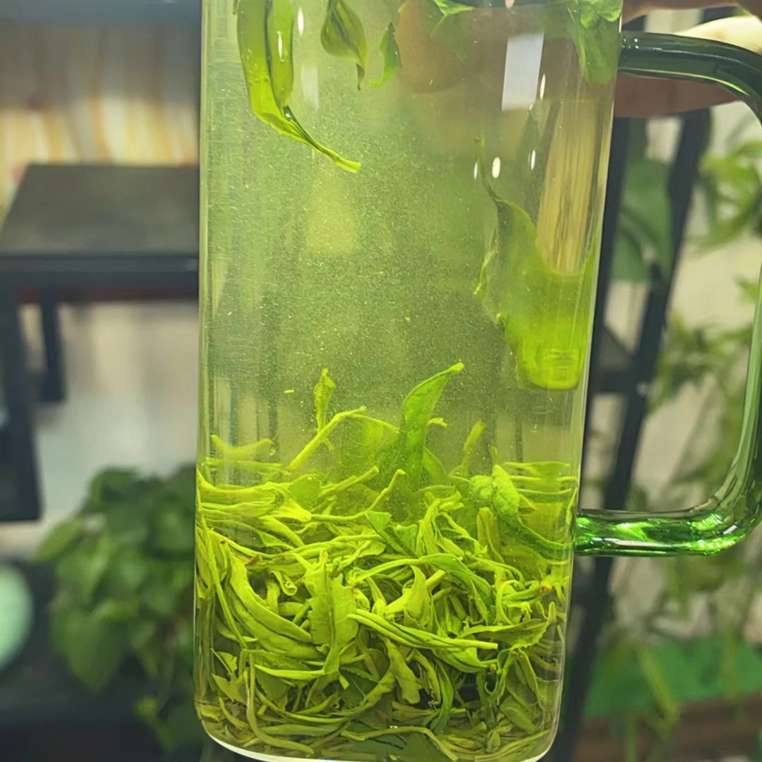 2024信阳毛尖 明前芽叶 整斤批发 正宗传统工艺 简装袋装