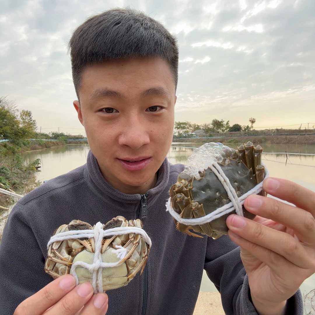 江苏大闸蟹8只装全母（母蟹单只2.7-3.0两）顺丰