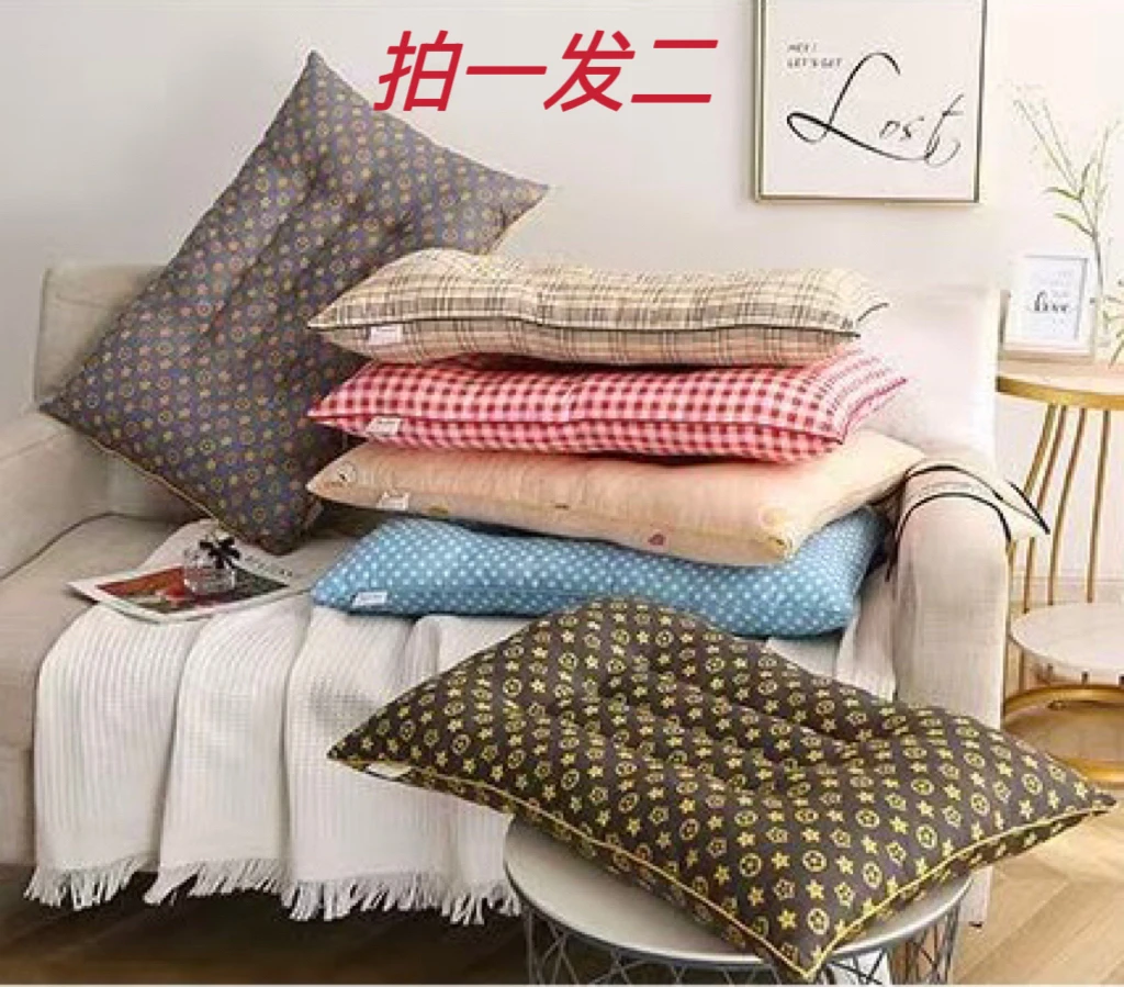 西藏包邮拉萨发货枕头家用珍珠棉护颈椎成人拍一发二网红高弹枕芯