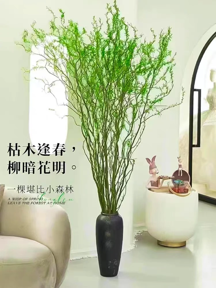 国风水培龙柳鲜枝客厅室内插花四季居室好养绿植水培