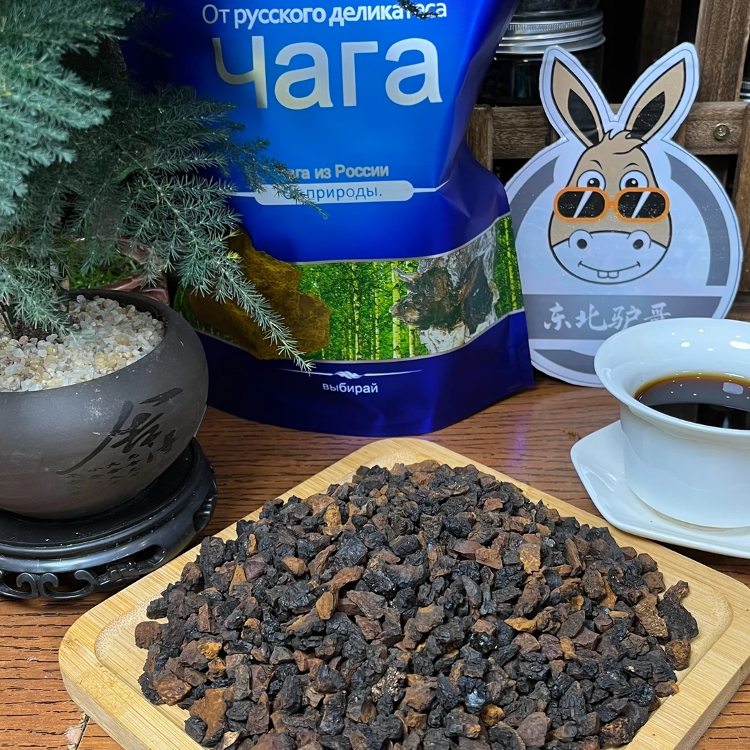 ＜驴哥＞野生高品质桦褐孔菌原块金黑金颗粒250g 桦褐孔菌