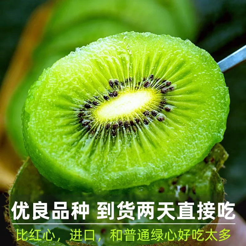现摘贵州安顺正宗猕猴桃新鲜水果一个60-90g果园精选果香