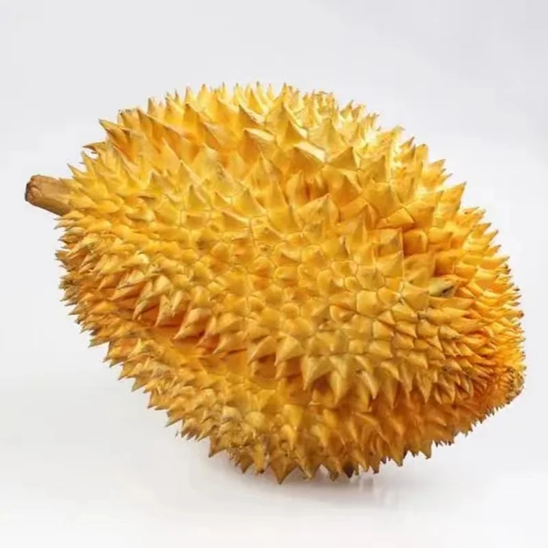 泰国金枕-树熟榴莲
