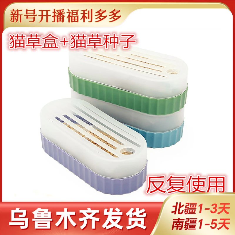 只发新疆一起种猫草种子无土水培盆栽成幼猫咪吐毛球懒人猫薄荷
