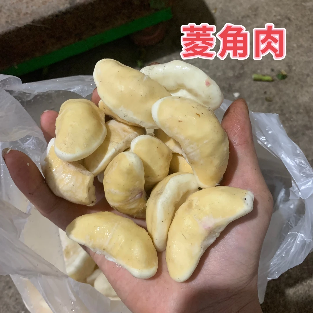 潮州自家种1斤植新鲜2025现摘青菱角新鲜去壳菱角肉粉糯包邮真空