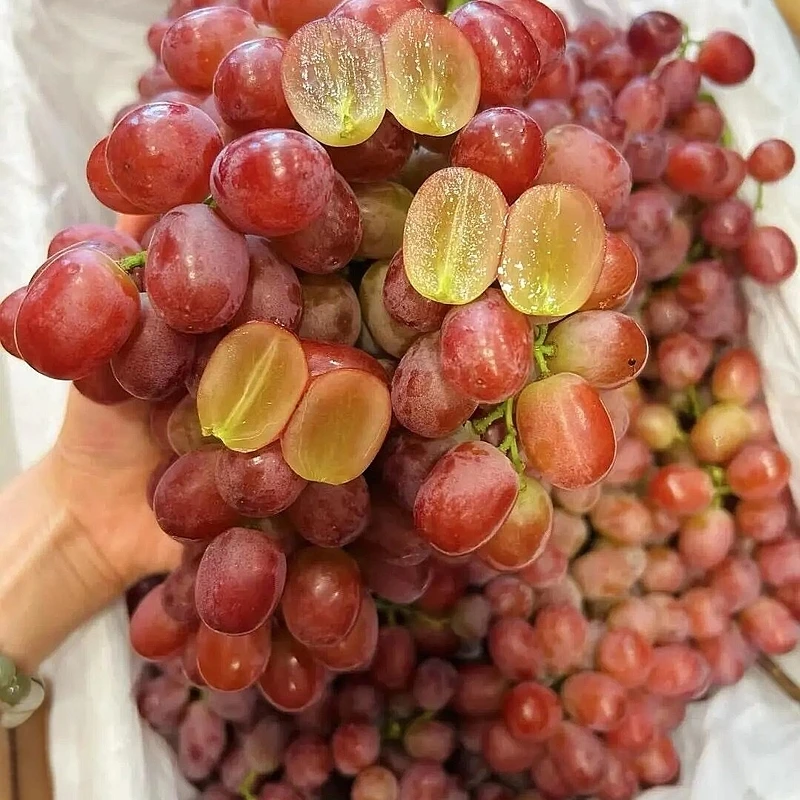 克伦生无籽提一箱 毛重约1500g 3斤左右 新鲜脆甜好吃应季