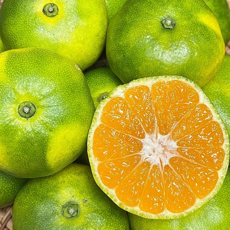 蜜桔约1500g±50g左右  水分足口感酸酸甜甜
