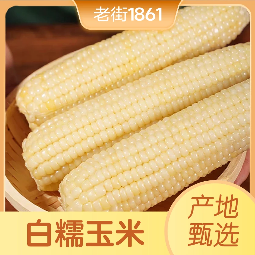 2024东北白糯玉米5斤【10根试吃2根】拉丝软糯香甜饱满真空锁鲜大棒