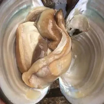 冷冻河蚌（嘎啦肉）7斤