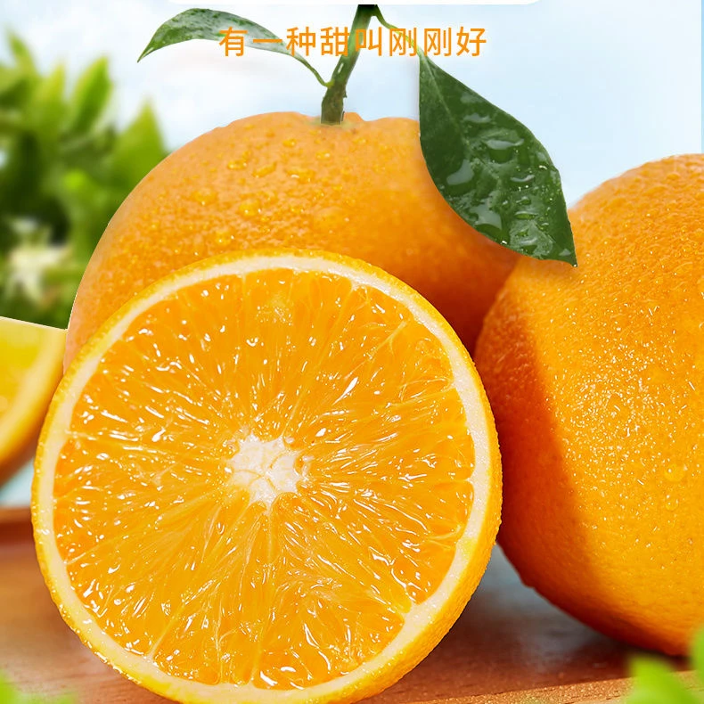纽荷尔脐橙当季新鲜水果新鲜柑橘产地直发
