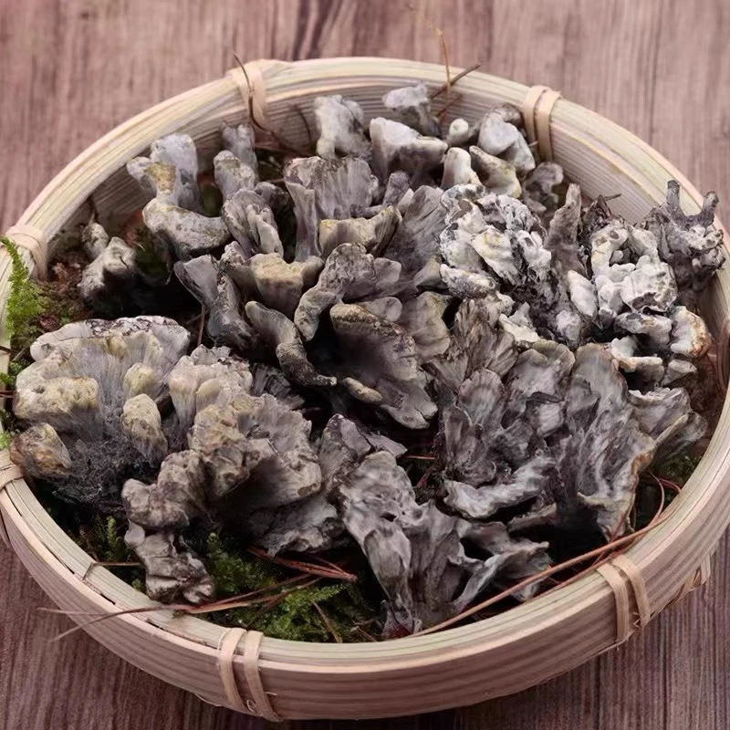 【菜菜精选农产品】灰干菌250g/500g