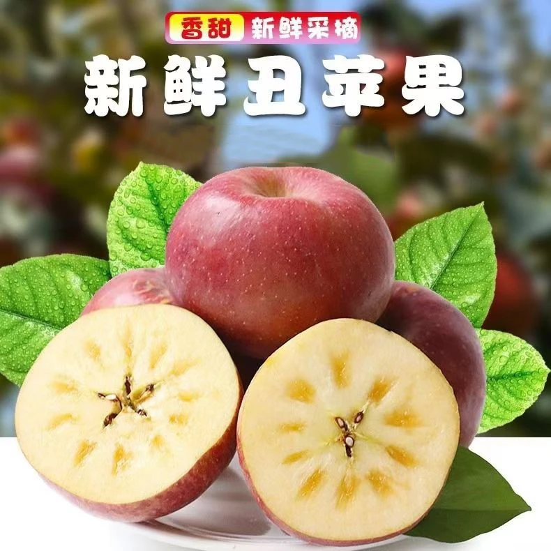 【山西红富士冰糖心丑苹果 】酥脆多汁孕妇新鲜当季水果皮薄肉厚
