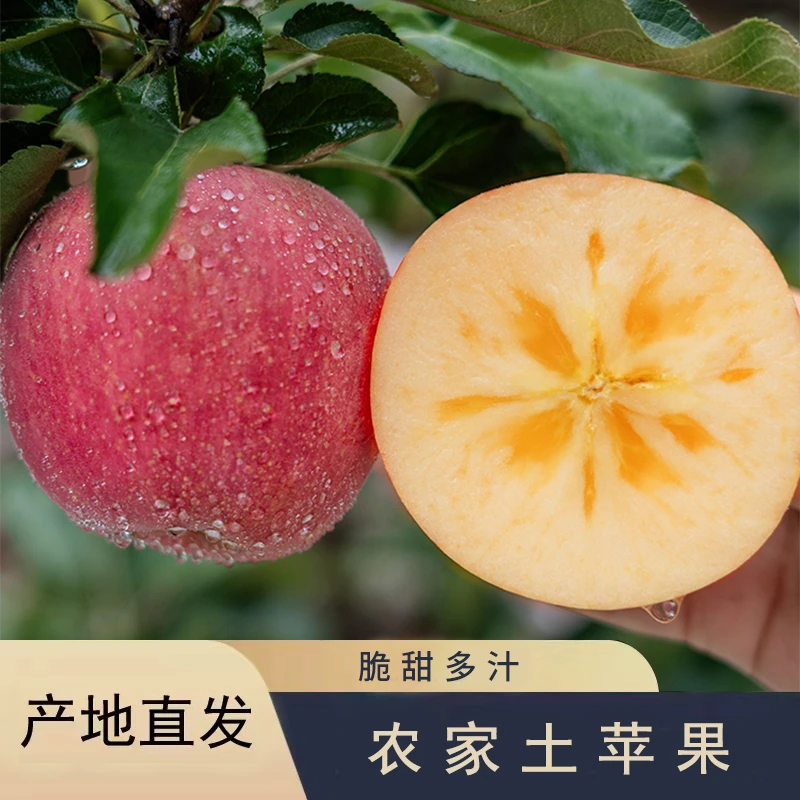 【山西冰糖心红富士丑苹果】孕妇新鲜当季水果皮薄肉厚脆甜多汁